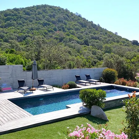 Fautea Di Santa Lucia * Olmucciu