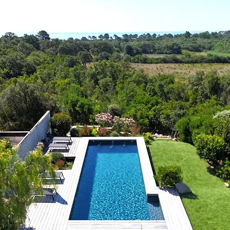 Fautea Di Santa Lucia *