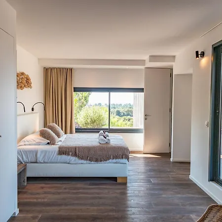 Fautea Di Santa Lucia Villa Olmucciu